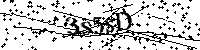 Veuillez saisir les lettres et les chiffres ci-dessous