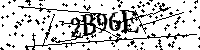 Veuillez saisir les lettres et les chiffres ci-dessous