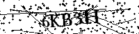 Veuillez saisir les lettres et les chiffres ci-dessous