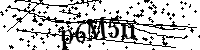 Veuillez saisir les lettres et les chiffres ci-dessous