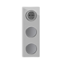 1x Prise de courant avec terre + 2x interrupteurs simple allumage avec plaque de finition en verre, 3 postes, verticale - Gris