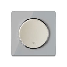 Interrupteur va-et-vient Beige avec plaque de finition en verre, Gris