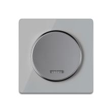 Interrupteur simple allumage avec tйmoin lumineux, 1 voie avec plaque de finition en verre - Gris