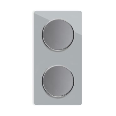 2x interrupteurs simple allumage avec plaque de finition en verre 2 postes, verticale - Gris