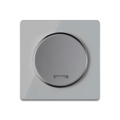 Interrupteur simple allumage avec tйmoin lumineux, 1 voie avec plaque de finition en verre - Gris