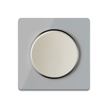 Interrupteur simple allumage avec plaque de finition en verre - Gris