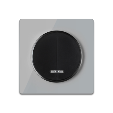 Interrupteur double, avec tйmoin lumineux, Noir avec plaque de finition en verre, Gris