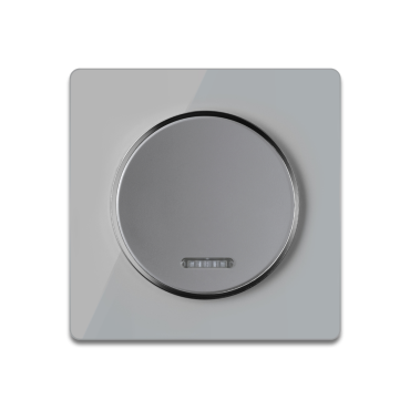 Interrupteur simple allumage avec tйmoin lumineux, 1 voie avec plaque de finition en verre - Gris