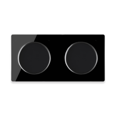 2x interrupteurs simple allumage avec plaque de finition en verre 2 postes, horizontale - Gris