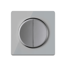 Interrupteur double, 1 voie, Gris avec plaque de finition en verre, Gris